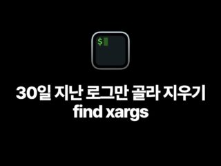 30일 지난 로그만 골라 지우기: find와 xargs 조합 3가지 안전 명령어