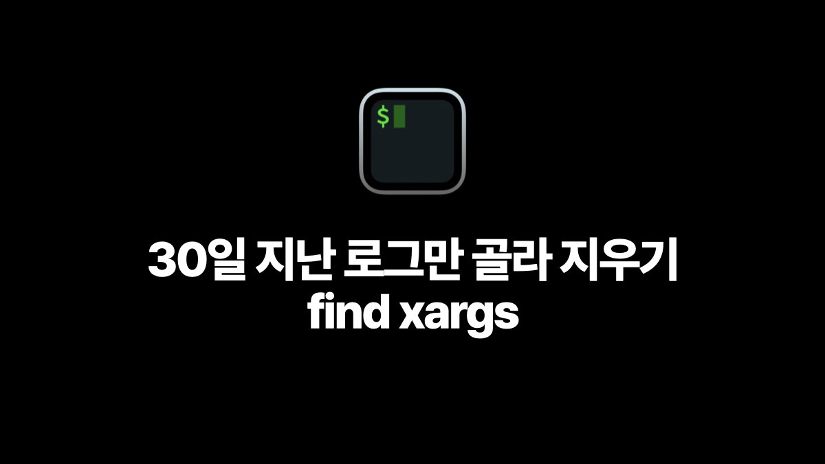 30일 지난 로그만 골라 지우기 find xargs